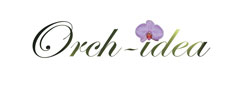 Orchidea