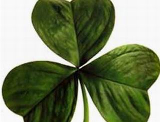 Dzie� �w. Patryka w Tr�jmie�cie - �w. patryk,irlandia,piwo,�wi�to,ziele�,zielone piwo,koncert,impreza