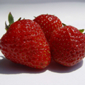 Sorbet truskawkowy z gruszką