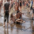 Kogo spotkasz na ASP? Zobacz - Przystanek Woodstock 2011. Akademia Sztuk Przepi�knych, program