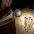 Nie kupisz już marihuany w Holandii - holandia sprzedaż marihuana coffeeshopy zioło trawa obcokrajowcy cudzoziemcy narkotyki turyści