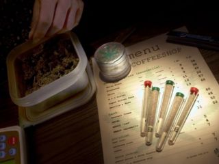 Nie kupisz już marihuany w Holandii - holandia sprzedaż marihuana coffeeshopy zioło trawa obcokrajowcy cudzoziemcy narkotyki turyści