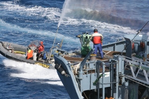 GREENPEACE