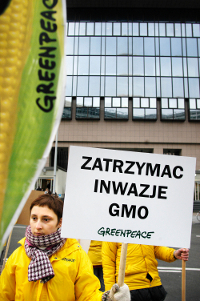 GREENPEACE 