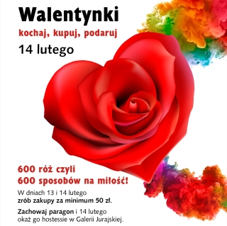 Walentynkowy bukiet z 600 róż - galeria jurajska, róże na walentynki