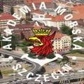 Matura z matmy na 5! - akademia morska szczecin kursy przygotowawcze matura matematyka wykłady szczecin