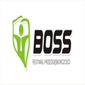 Festiwal Przedsi�biorczo�ci BOSS  - festiwal przedsi�biorczo�ci boss 2010 debata networkingowa