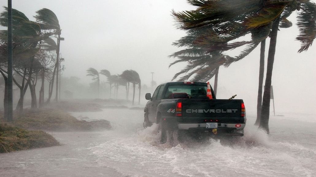 Irma
