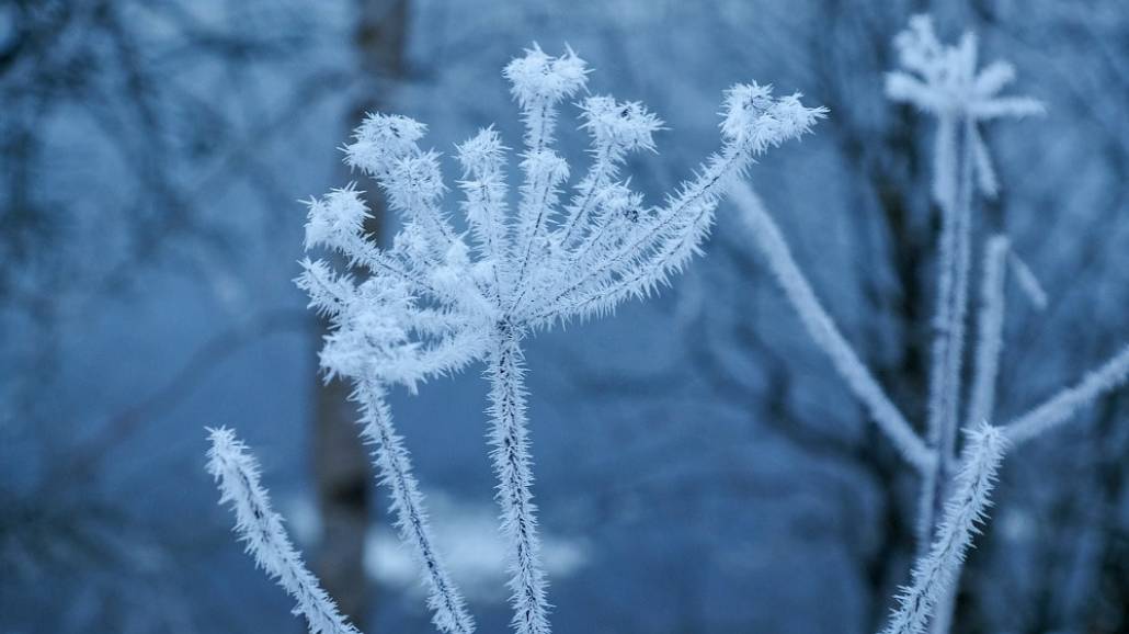 W najbliÅźszych dniach bÄ™dziemy musieli zmagać siÄ™ z niskimi temperaturami i silnymi wiatrami.