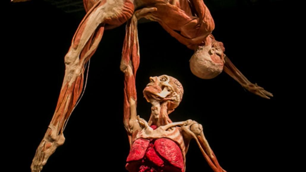 Cząstka duszy w plastynacie - kontrowersyjna wystawa Body Worlds we Wrocławiu