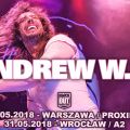Andrew W.K. wystąpi w Polsce - Koncerty we Wrocławiu, Koncery w Warszawie, Muzyka, Knockout, Andrew