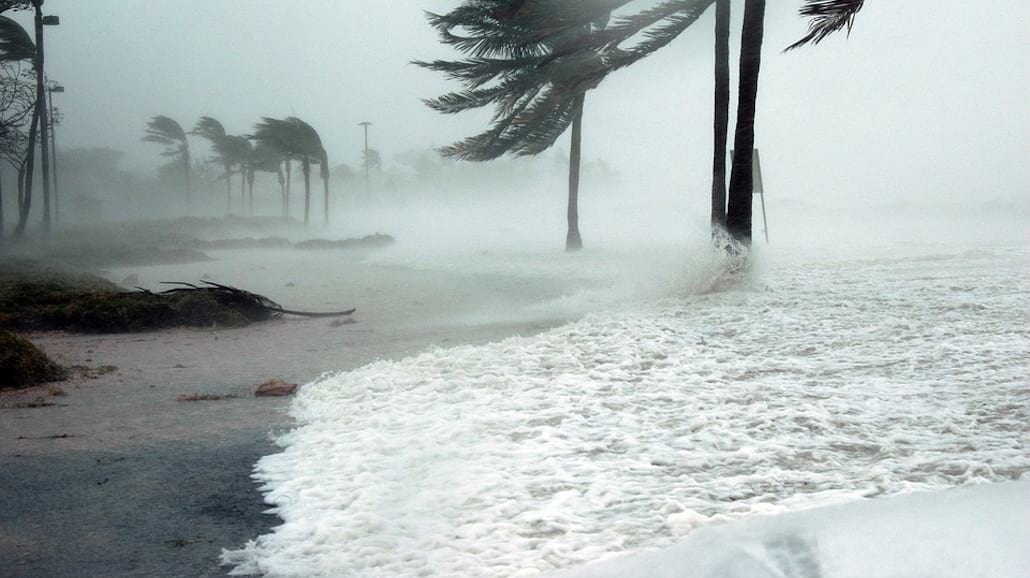 Irma