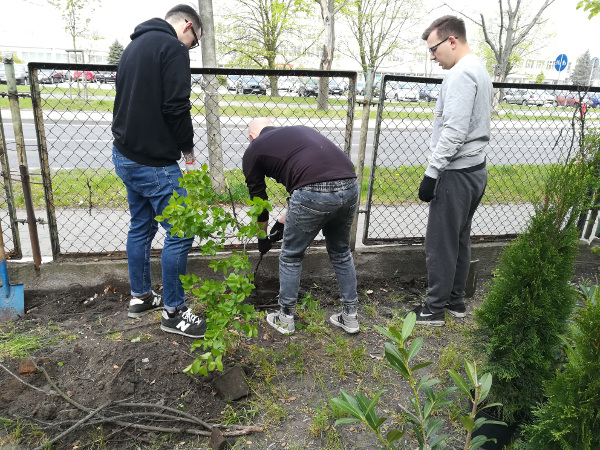 Wolontariusze z IKEA Wrocław i Ikano Banku podczas pracy w ogrodzie ośrodka pomocowego na Psim Polu  - Zdjęcie nr 3
