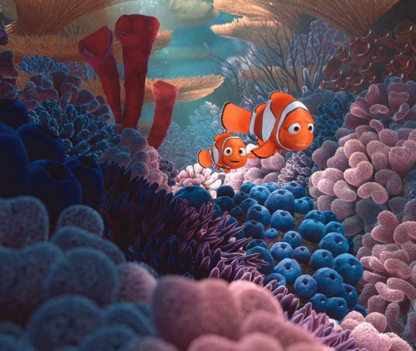 Gdzie jest Nemo?  - Zdjęcie nr 1
