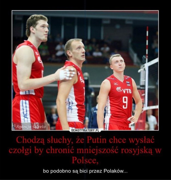 Memy po meczu Polska - Rosja  - Zdjęcie nr 8