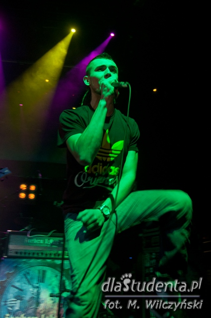 Punky Reggae Live 2013 (Wrocław, Klub Eter)  - Zdjęcie nr 29