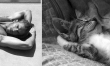 Seksowni faceci kontra słodkie kociaki  - Zdjęcie nr 18