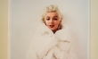 Miasto pokazało pierwsze zdjęcia Marilyn Monroe  - Zdjęcie nr 17