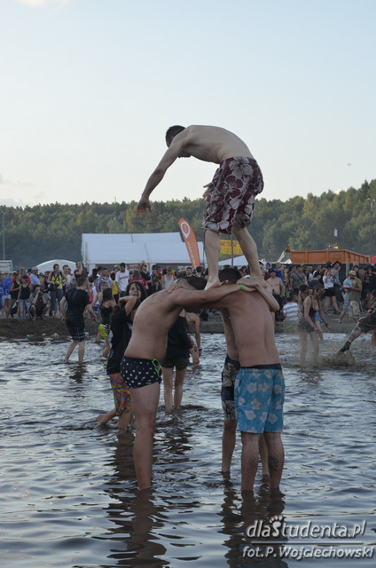 Przystanek Woodstock 2014  - Zdjęcie nr 17