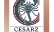 Cesarz