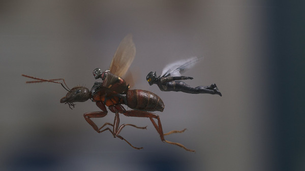 Ant-Man and the Wasp - zdjęcia z filmu  - Zdjęcie nr 19