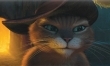 Kot w Butach 3D  - Zdjęcie nr 8