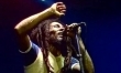 Dziś Dzień Boba Marleya  - Zdjęcie nr 1