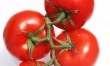 Pesto z pomidorów