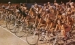 Queen - Bicycle Race