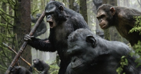 Ewolucja Planety Małp  - Zdjęcie nr 5