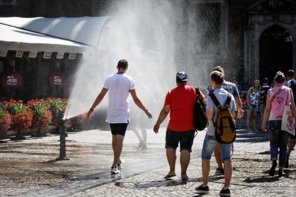 Kurtyny wodne - krasnale - na wrocławskim Rynku  - Zdjęcie nr 10