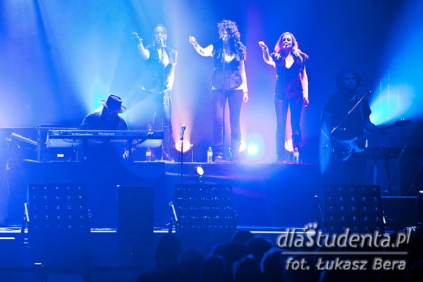 The Australian Pink Floyd Show - koncert we Wrocławiu (20 stycznia 2012)  - Zdjęcie nr 17