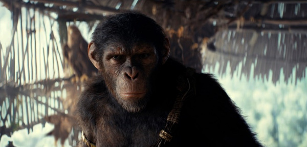 Królestwo Planety Małp - zdjęcia z filmu  - Zdjęcie nr 5