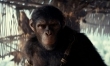 Królestwo Planety Małp - zdjęcia z filmu  - Zdjęcie nr 5