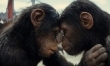 Królestwo Planety Małp - zdjęcia z filmu  - Zdjęcie nr 4