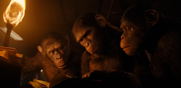 Królestwo Planety Małp - zdjęcia z filmu  - Zdjęcie nr 2