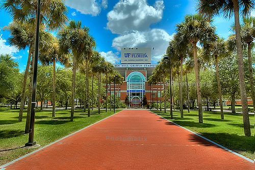 18. University of Florida