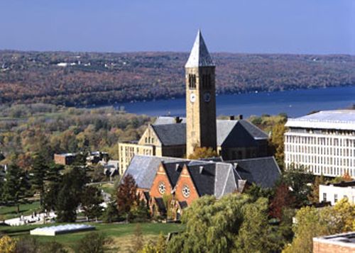 4. Cornell University