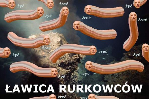 Memy o Januszu Korwin-Mikkem  - Zdjęcie nr 22