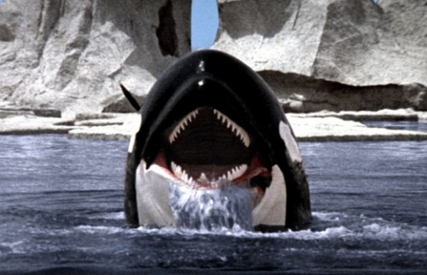 19. Orka - Wieloryb zabójca (1977) 