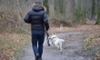 Canicrossing - bieganie z psem