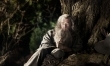 Hobbit: Niezwykła podróż  - Zdjęcie nr 27