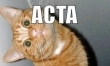 Internauci mówią NIE dla ACTA  - Zdjęcie nr 10