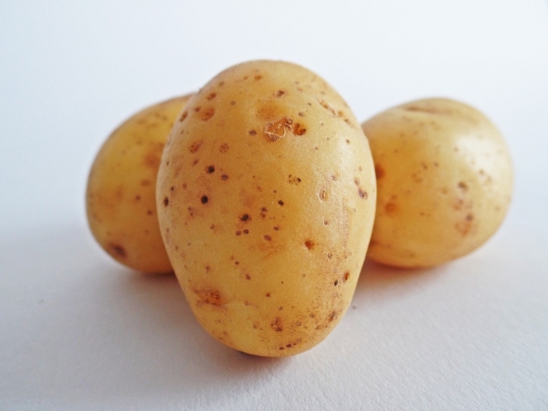 Okład z ziemniaków