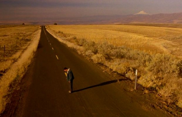 18. Moje własne Idaho (1991)