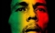 12. Bob Marley - 33,102,932 fanów