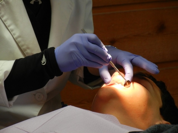 5. Ortodonta