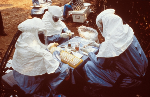 2. Epidemia wirusa Ebola