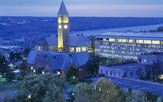 14. Cornell University