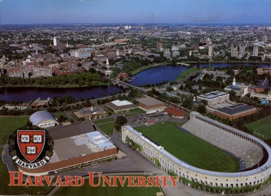3. Harvard University